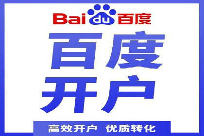 SEM竞价实战：成功案例解析