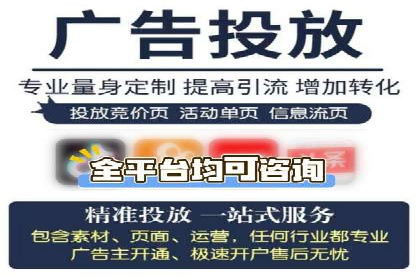 百度联盟推广网络覆盖的案例研究